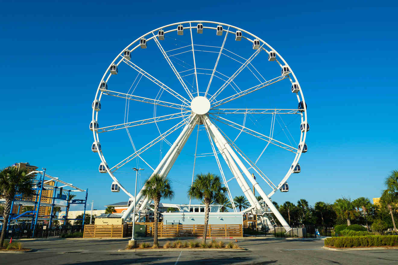 View of the Skywheel