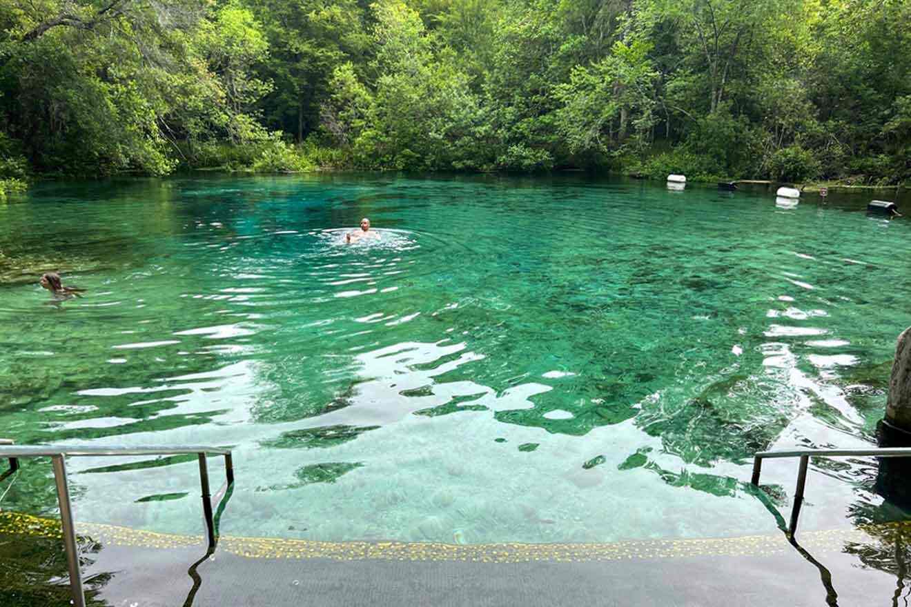 people swimming in Ichetucknee Springs