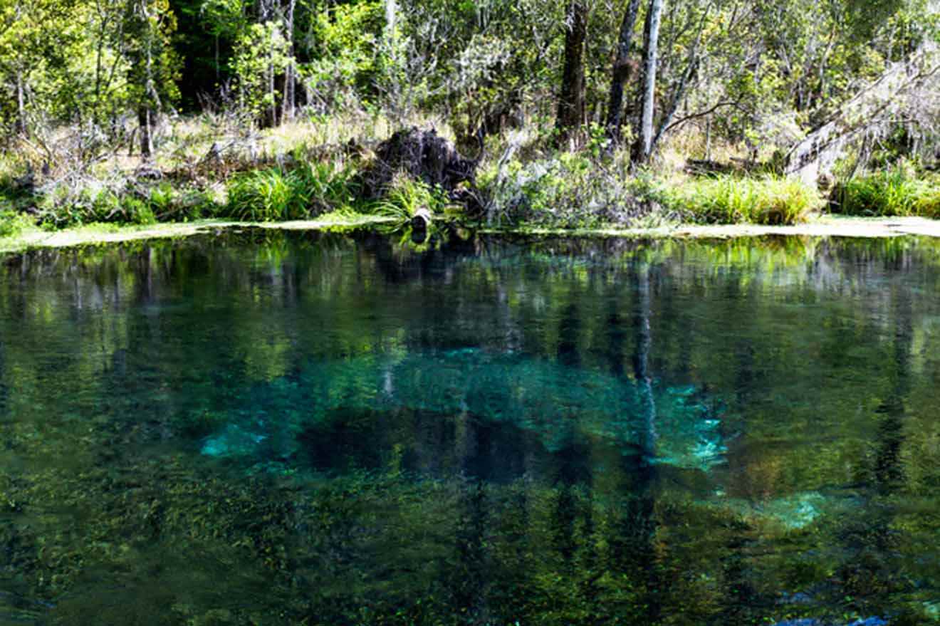 the blue hole Ichetucknee Springs State Park