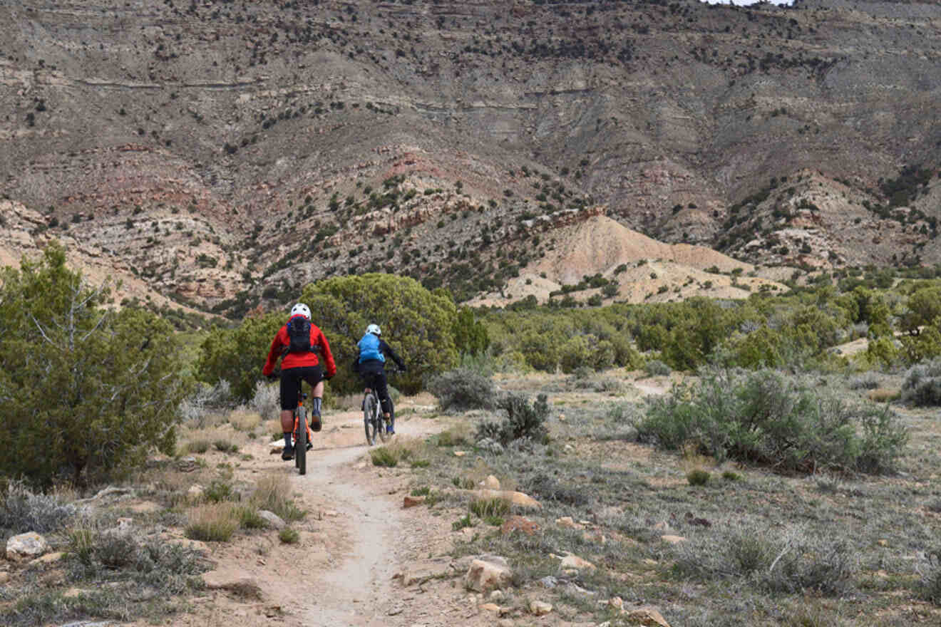 people biking at Colorado Desert