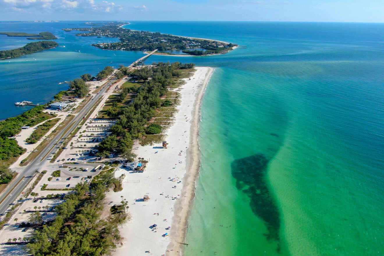 Sarasota Coastlines Are Some Of The Best Shelling Beaches In Florida -  Narcity