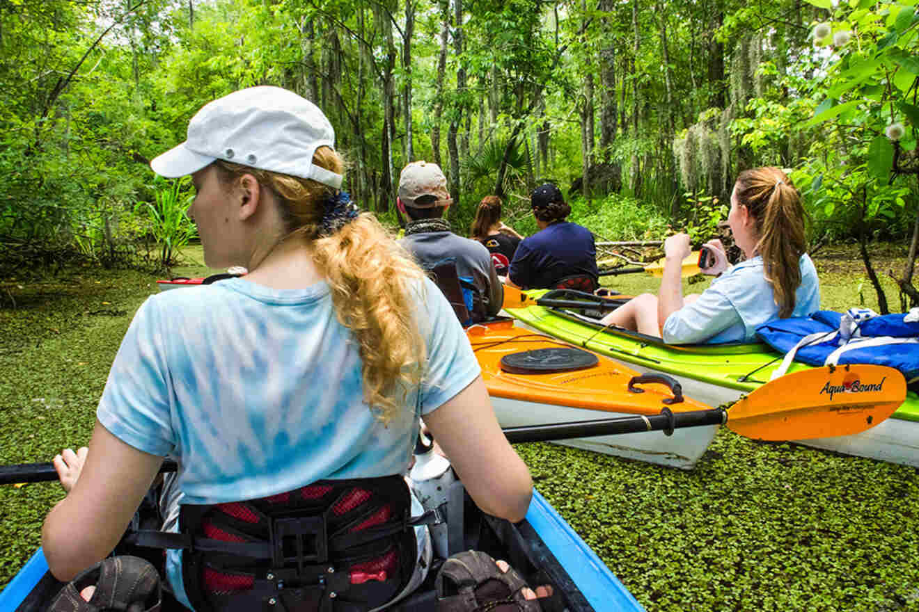 people kayaking in a swamp
