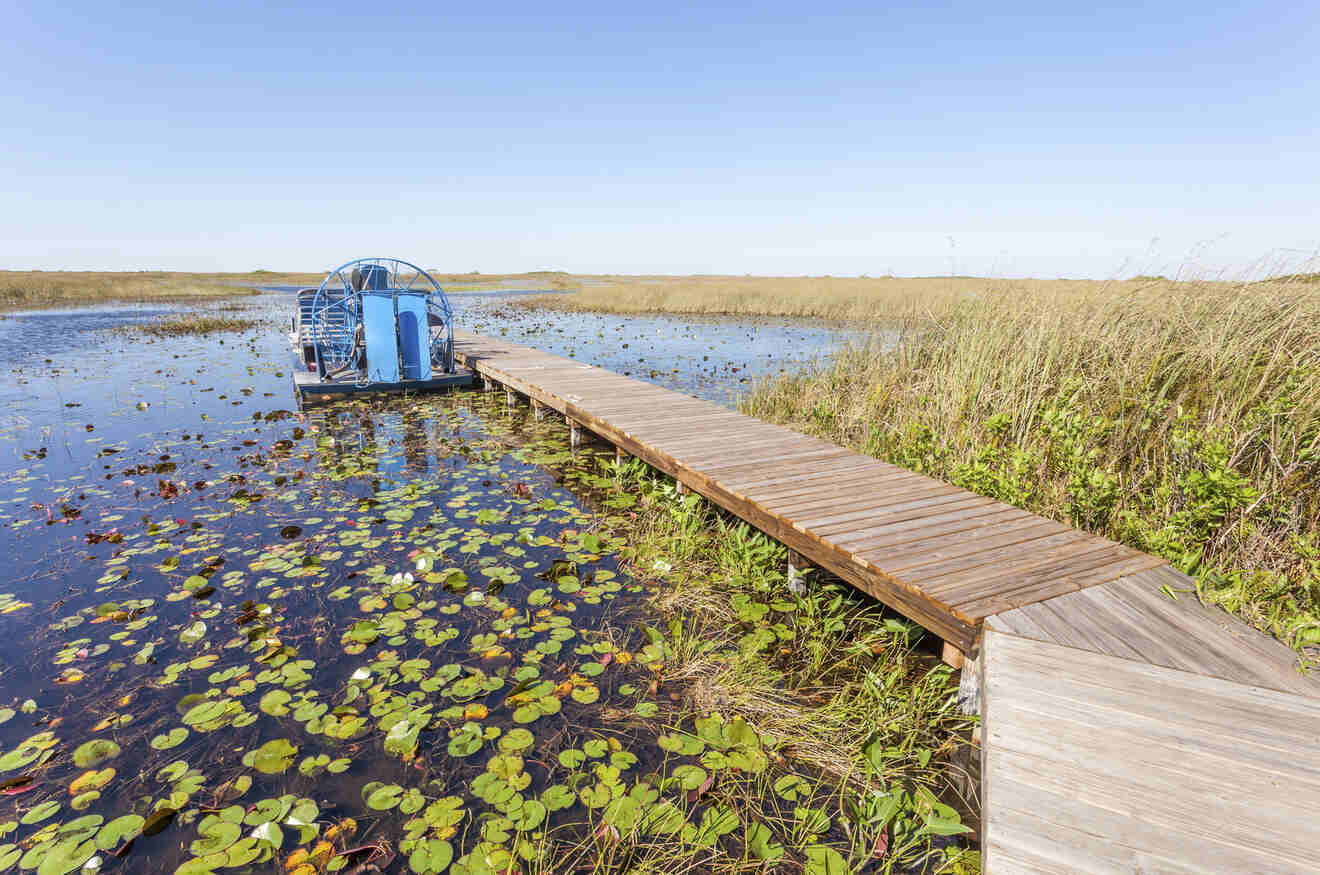 View of an airboat along a boardwalk in the Everglades