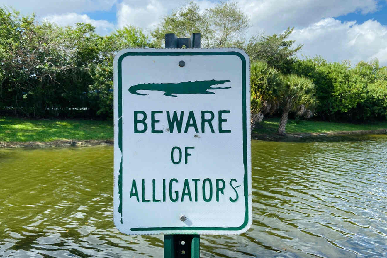 beware of alligators sign