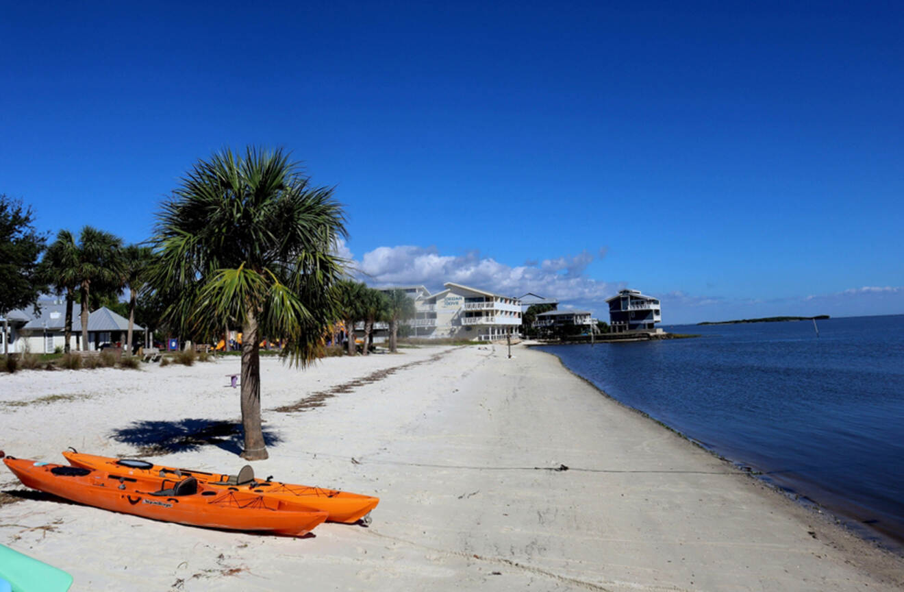 View of the shoreline at Cedar Key beach