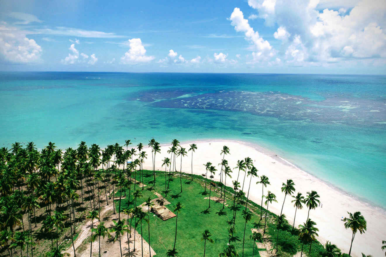 aerial view over Praia dos Carneiros - palm trees, white sand beach