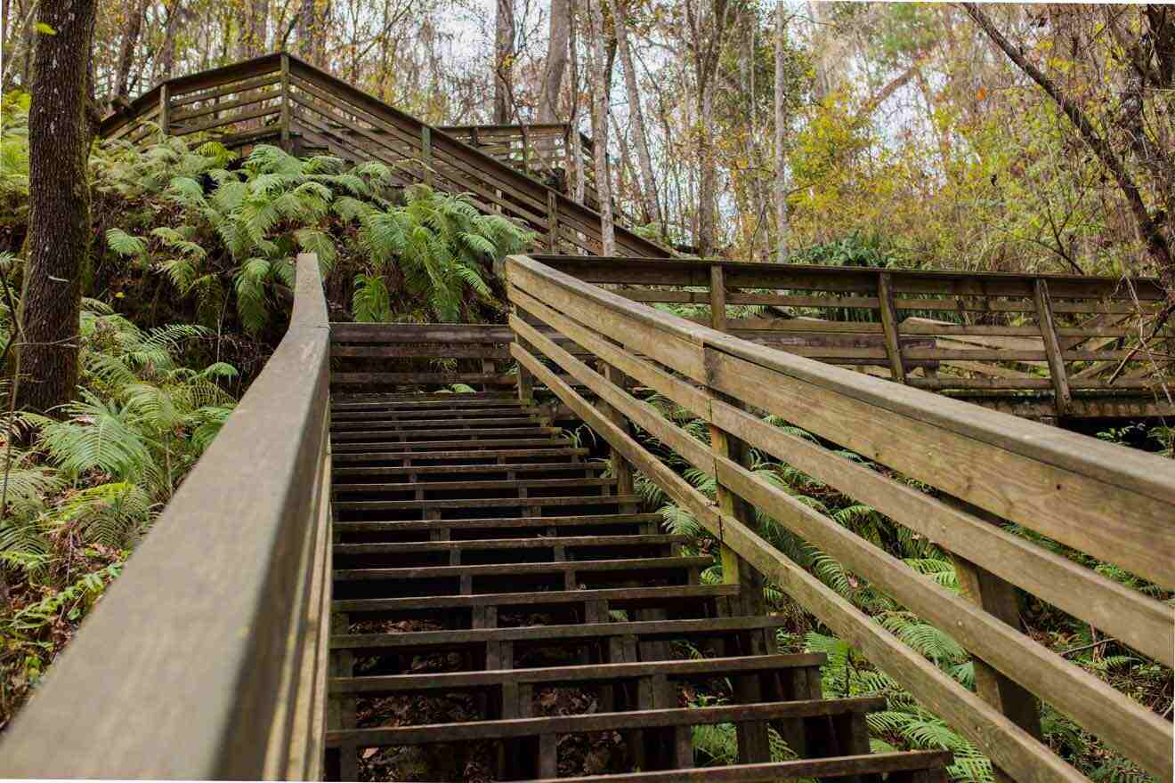 wooden stairs in the park