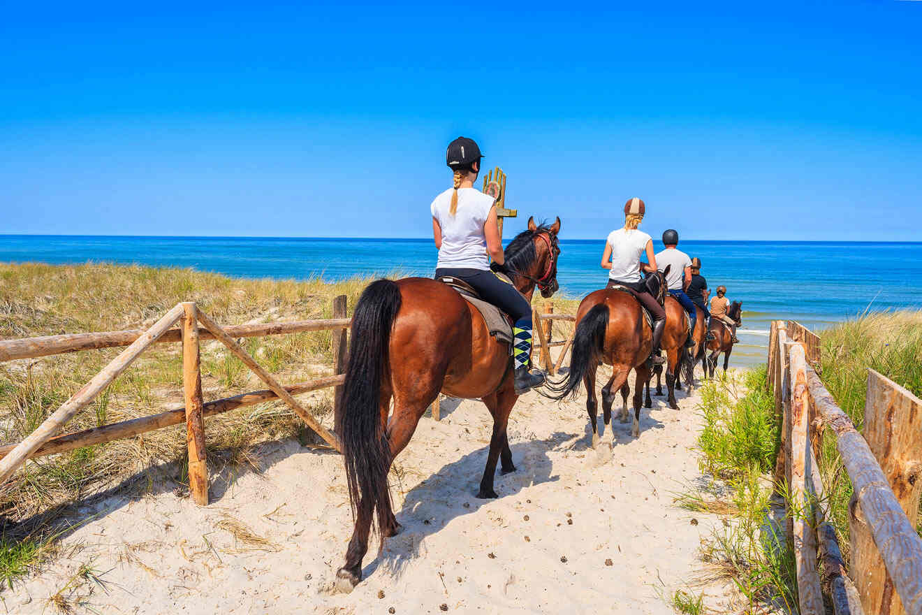 people horseback riding on the beach