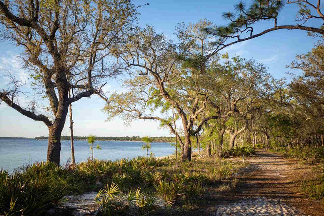 hiking trail Pensacola