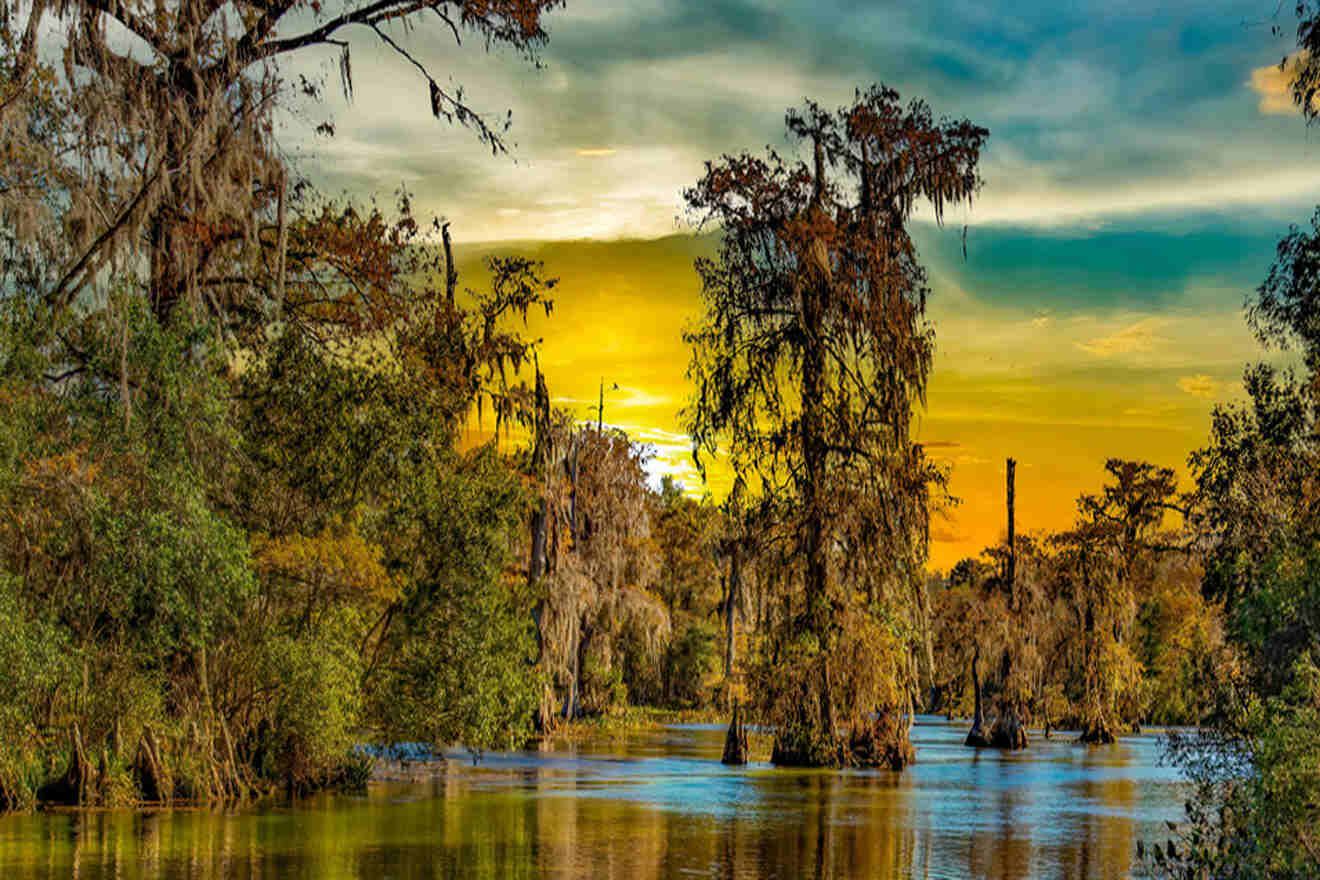 Bayou Sauvage National Wildlife Refuge