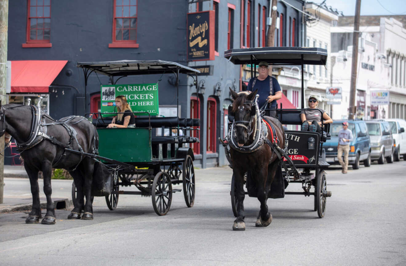 8 Magical Horse Drawn Carriage Rides And Tours In Florida