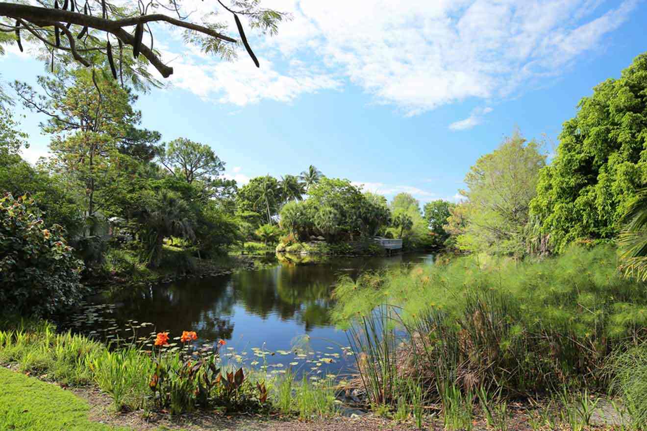 lake at the botanical garden Palm Beach