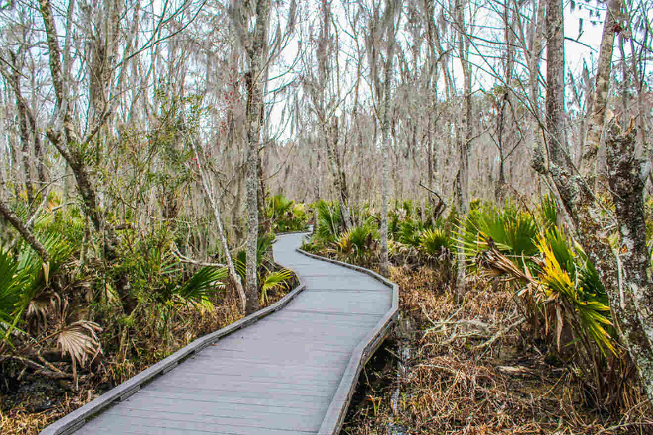 Jean Lafitte National Park