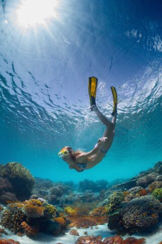 Scuba diver swimming 