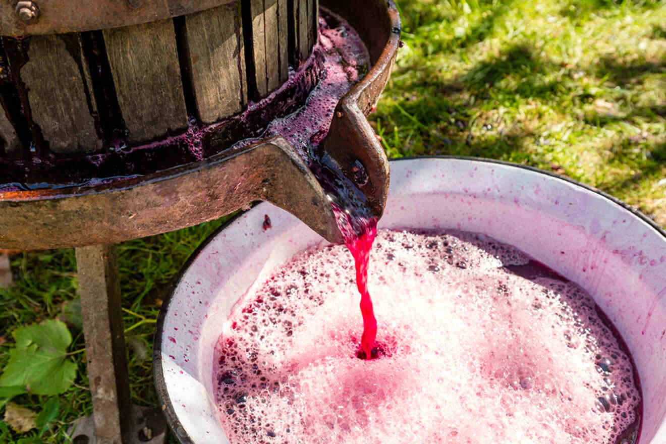 wine pouring from a barrel