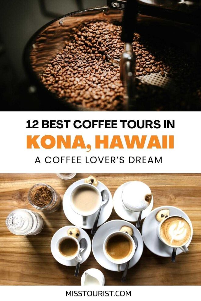 Top 12 Kona Coffee Tours → Farm Tours & Coffee Tastings