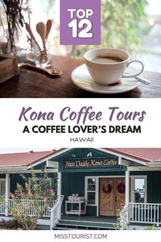 Best Kona coffee tour PIN 2