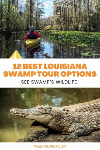 ALLIGATORS VS. CROCODILES  New Orleans Kayak Swamp Tours