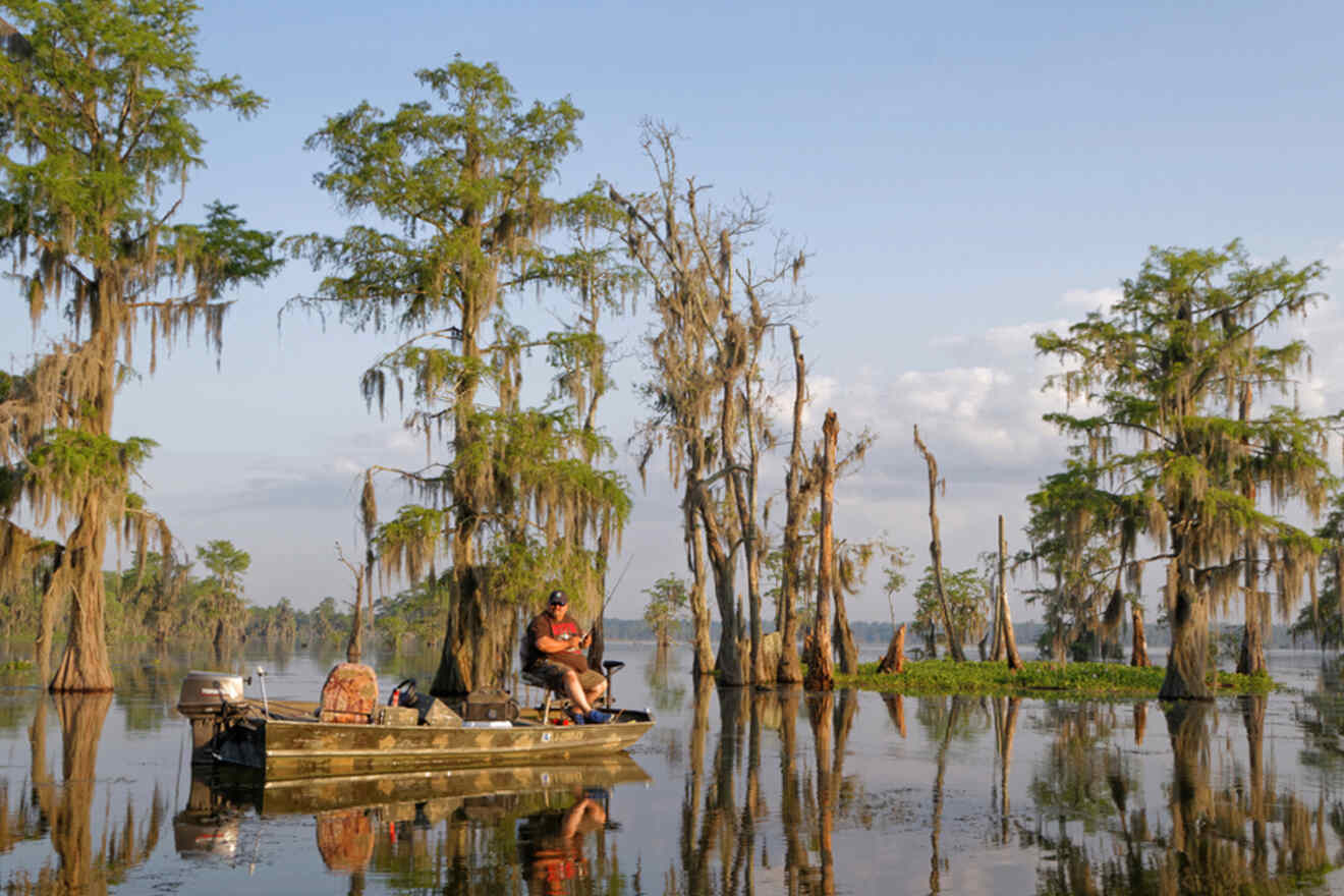 12 Best Louisiana Swamp Tour Options ✔️ See Swamp Wildlife