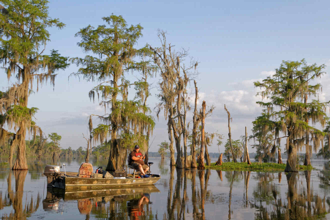 fisherman's boat in a swamp