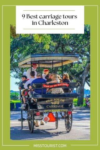 Best carriage tours in Charleston PIN 2