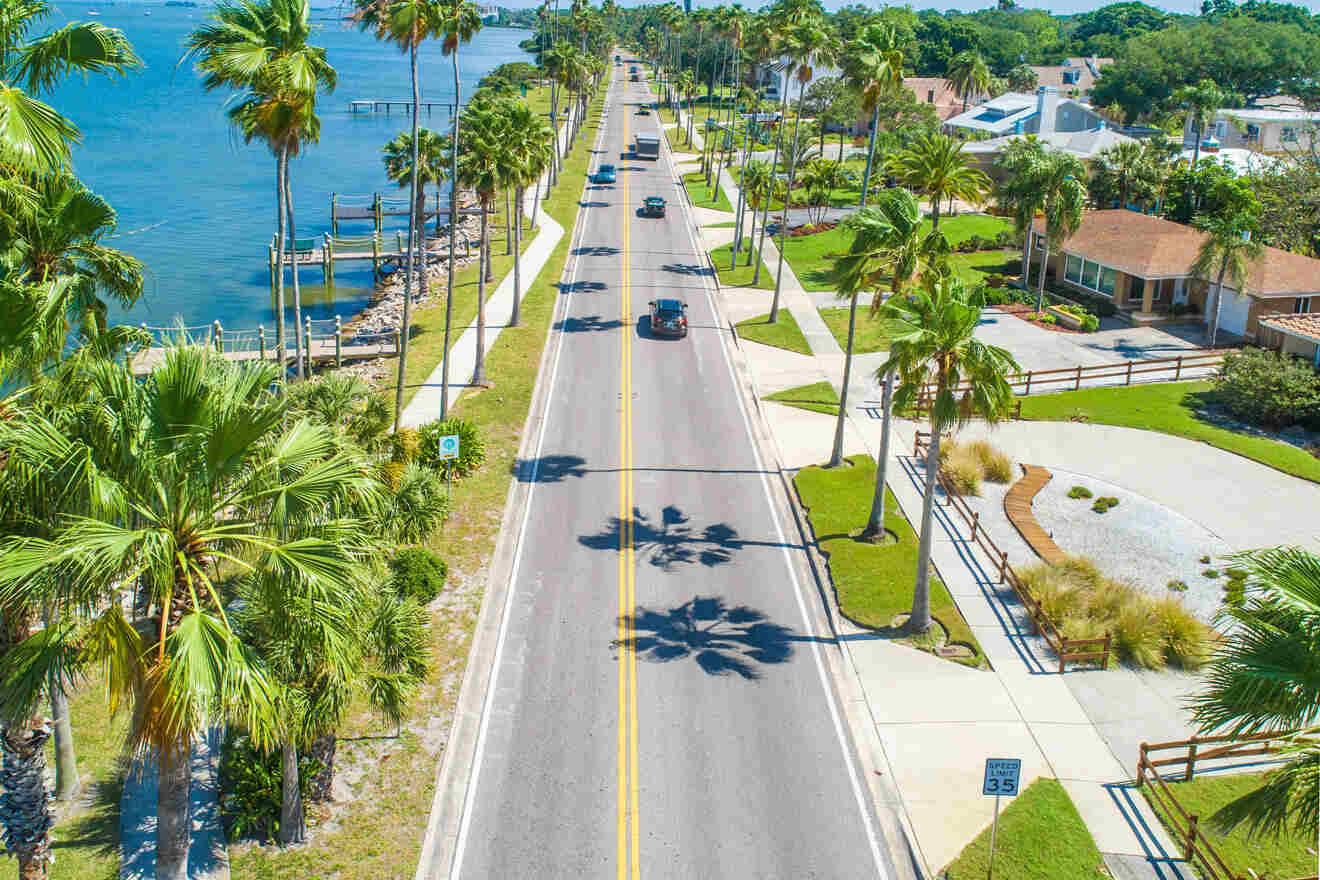 aerial view over a road in Florida with sea view and palm trees