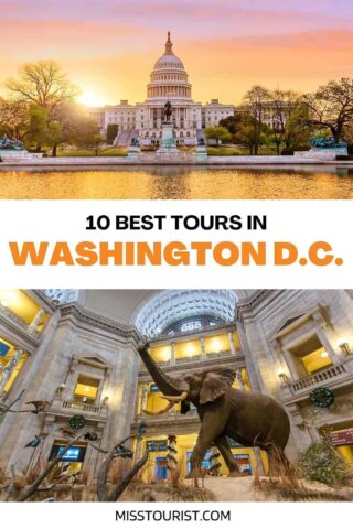 Best tours in Washington DC PIN 2