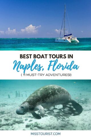 boat and manatee swimming