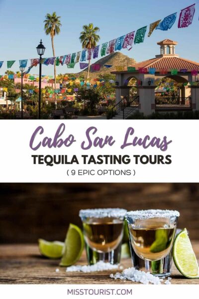 9 EPIC Tequila Tasting Tours in Cabo San Lucas (w. Prices!)