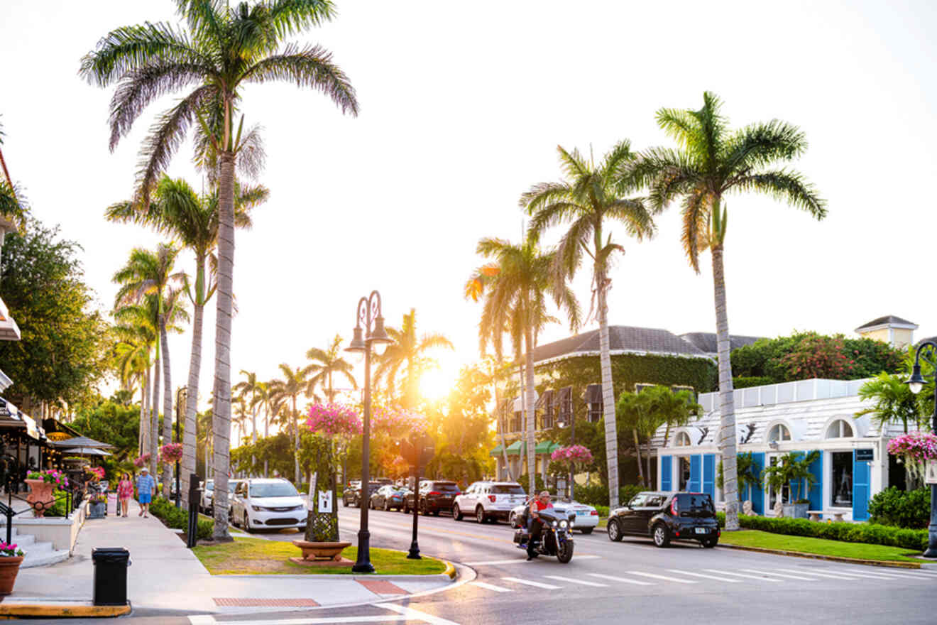 14 Best Day Trips from Naples, Florida → for Every Interest!