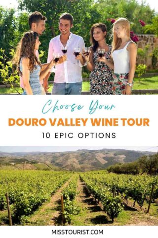 vineyard at Douro Valley and friends wine tasting