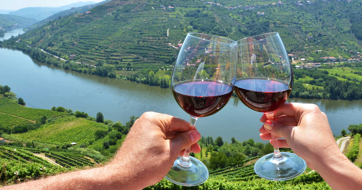 TOP 10 Wine Tasting Tours in Douro Valley in 2024 + Prices!