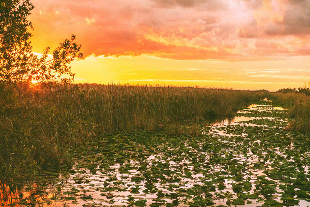 sunset in Everglades National Park