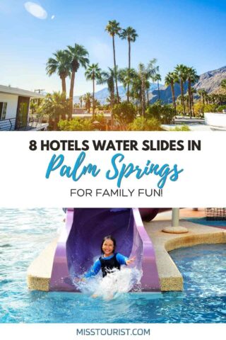 Hotels in Palm Springs with water slides PIN 2
