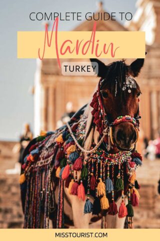 Mardin Turkey PIN 1