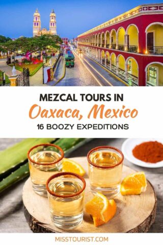 Mezcal tour Oaxaca PIN 2