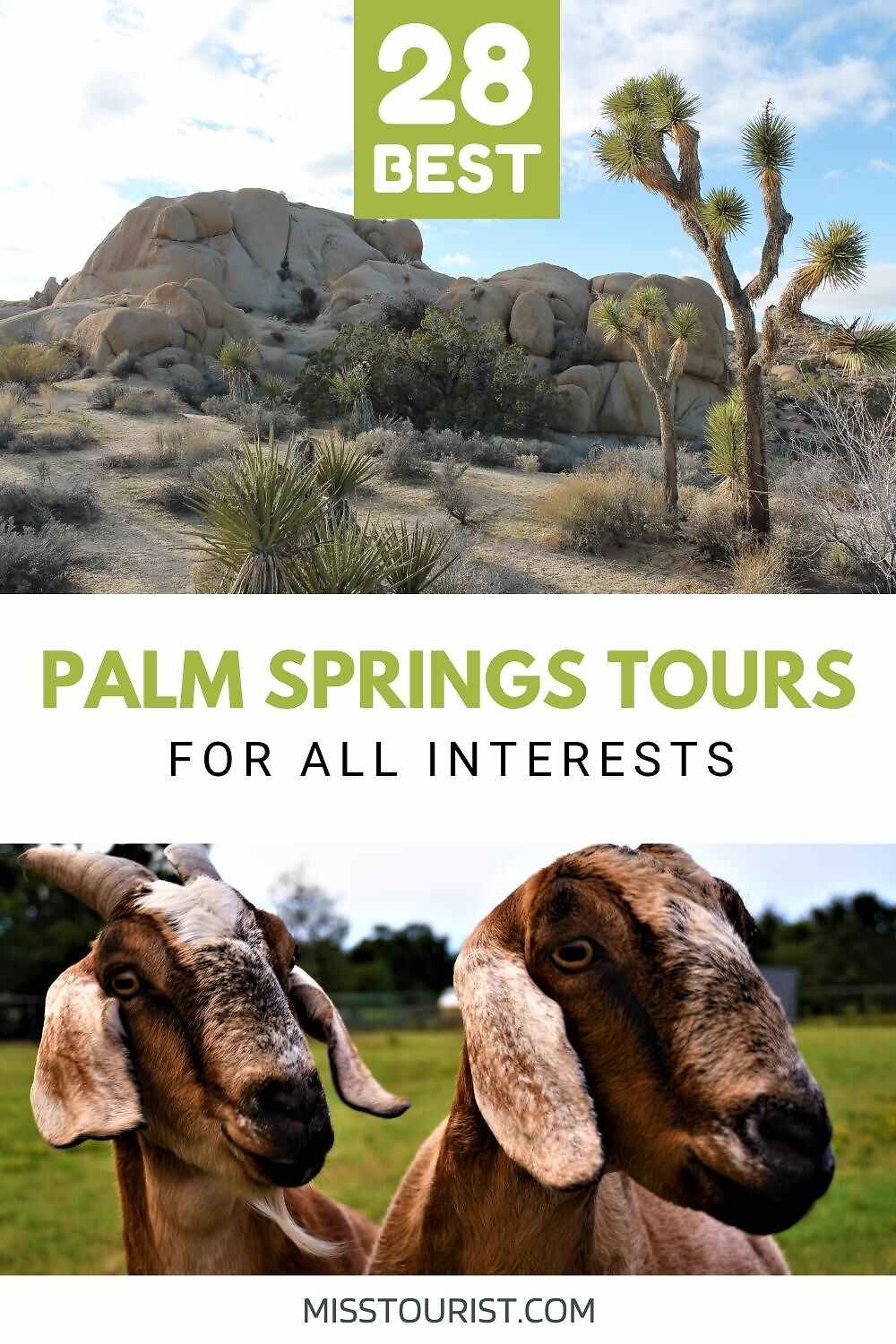Palm Springs tours PIN 2