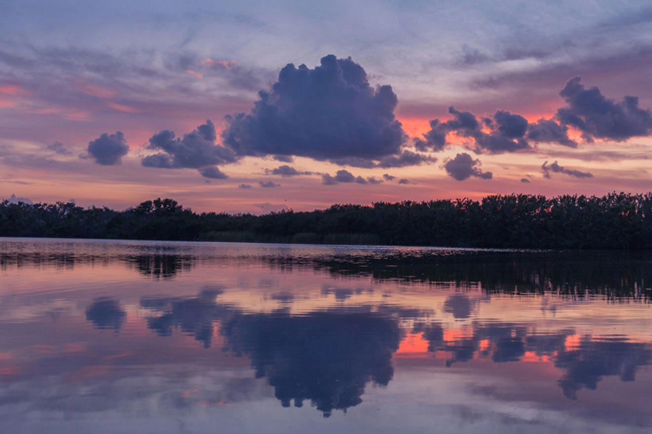Paurotis Pond in Everglades National Park Homestead Florida