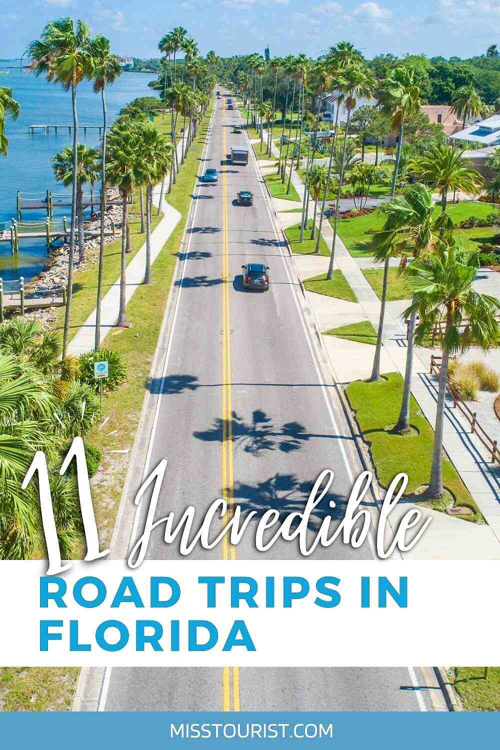 Road Trips in Florida PIN 2