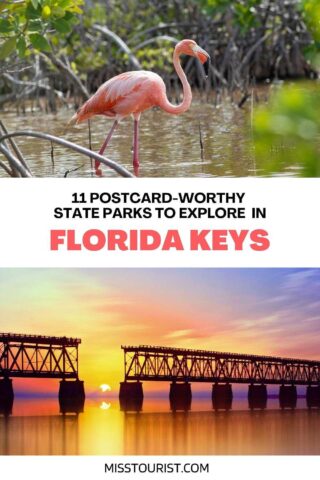 collage of images with - the broken bridge and flamingo