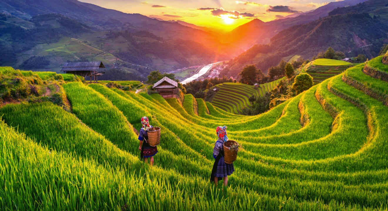 view of terraced fields at sunset