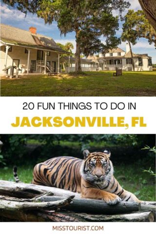 Things to do in Jacksonville PIN 1