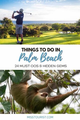 things to do in Palm Beach