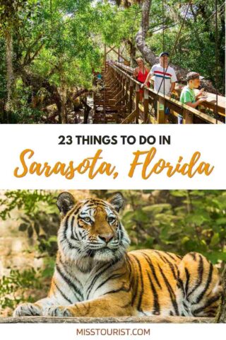 people walking on a wooden foot path and a tiger 