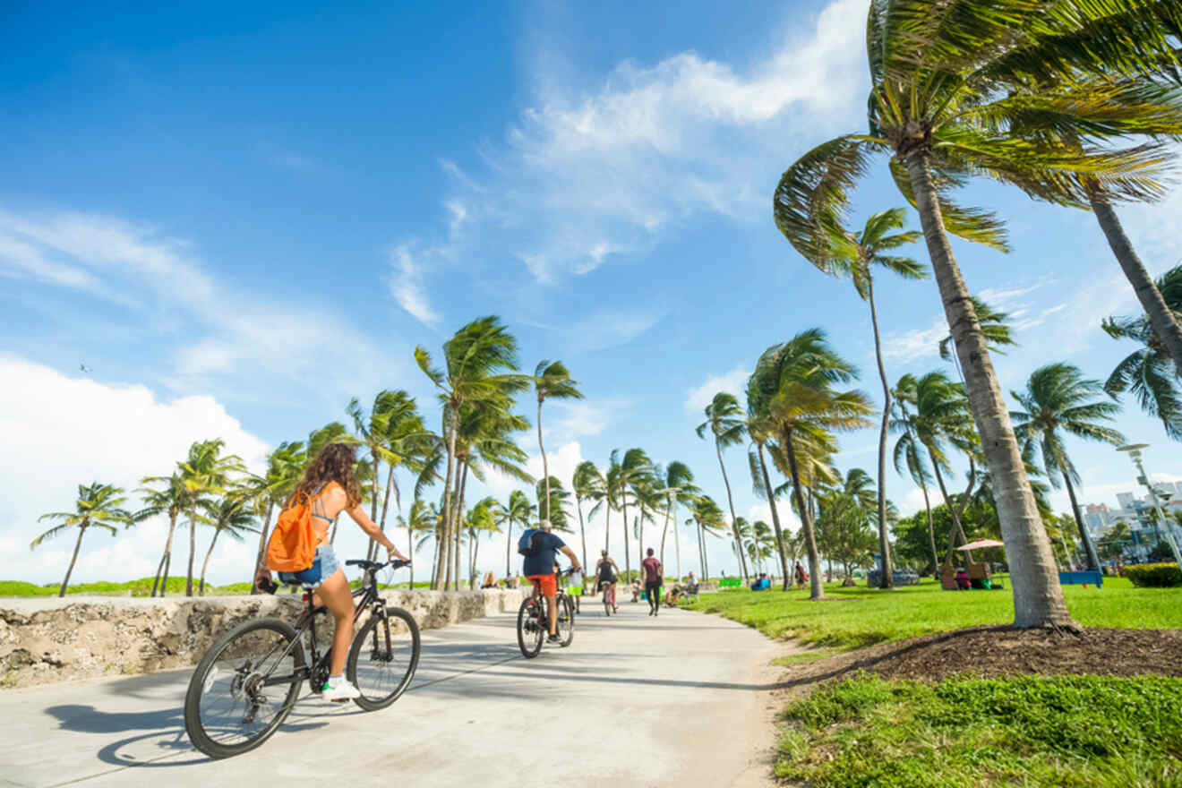 people riding a bike and palm trees