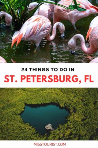 Things to do in St Pete Fl PIN 2
