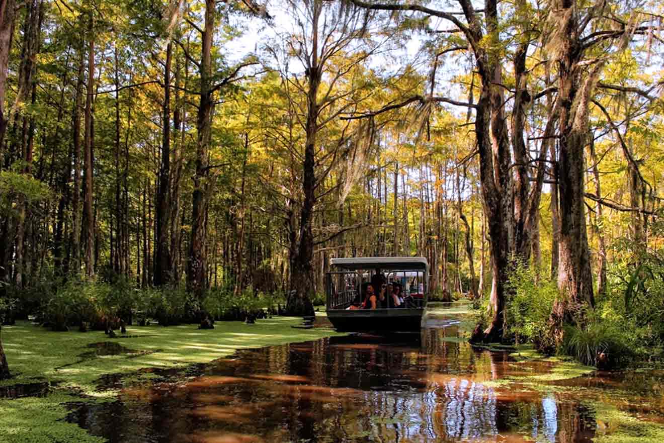Airboat in a Louisiana swamp