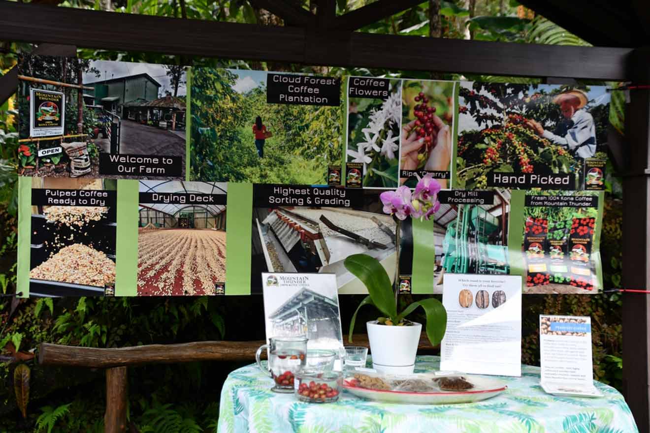 A table with coffee bean samples and promotion flyers behind it