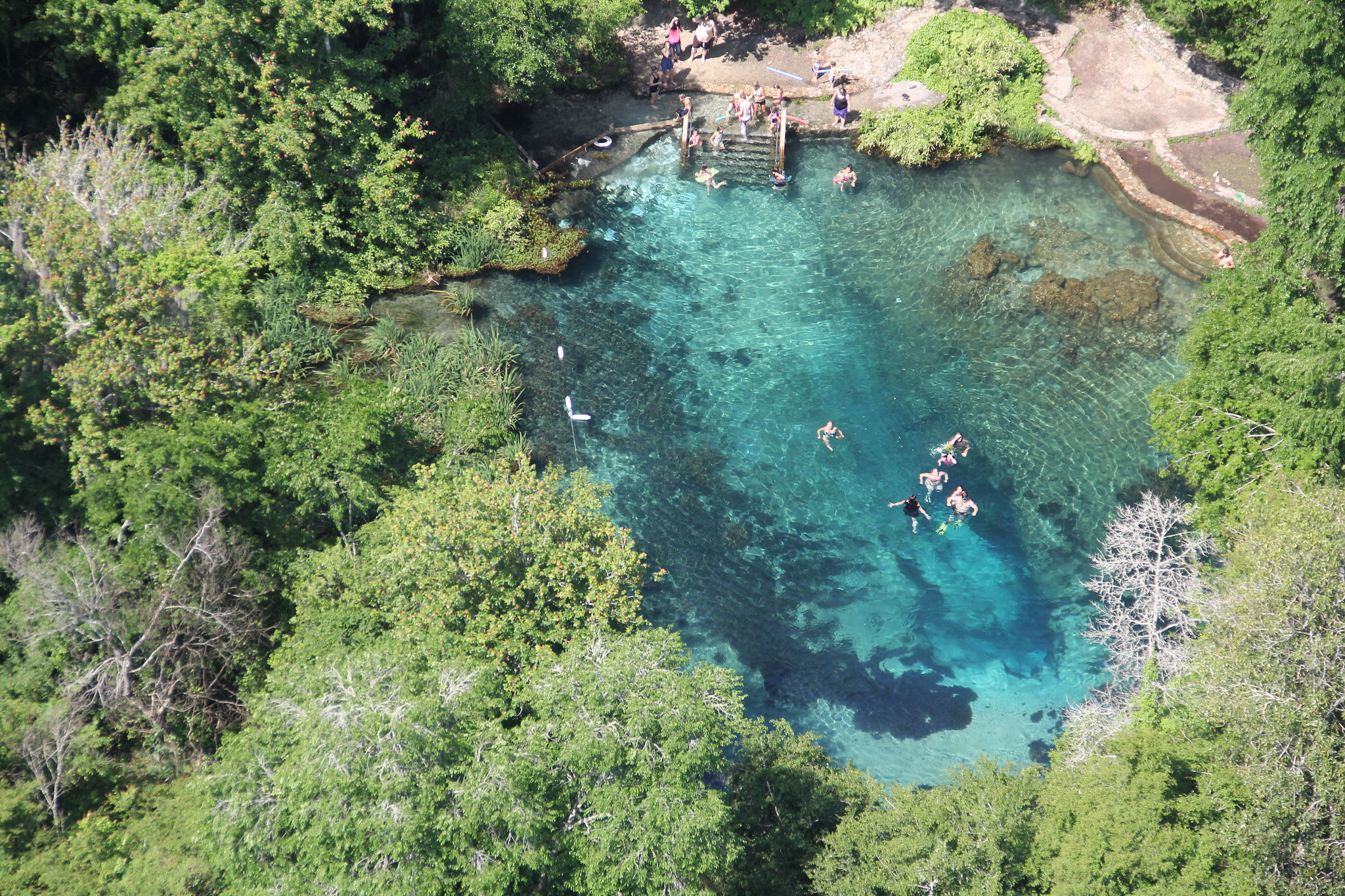 8 BEST Natural Springs in Ocala → Tips from a Local!