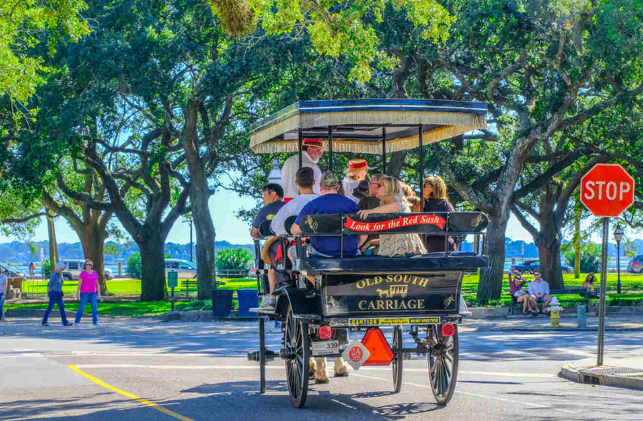 people in a horse-drawn carriage riding next to a leafy park